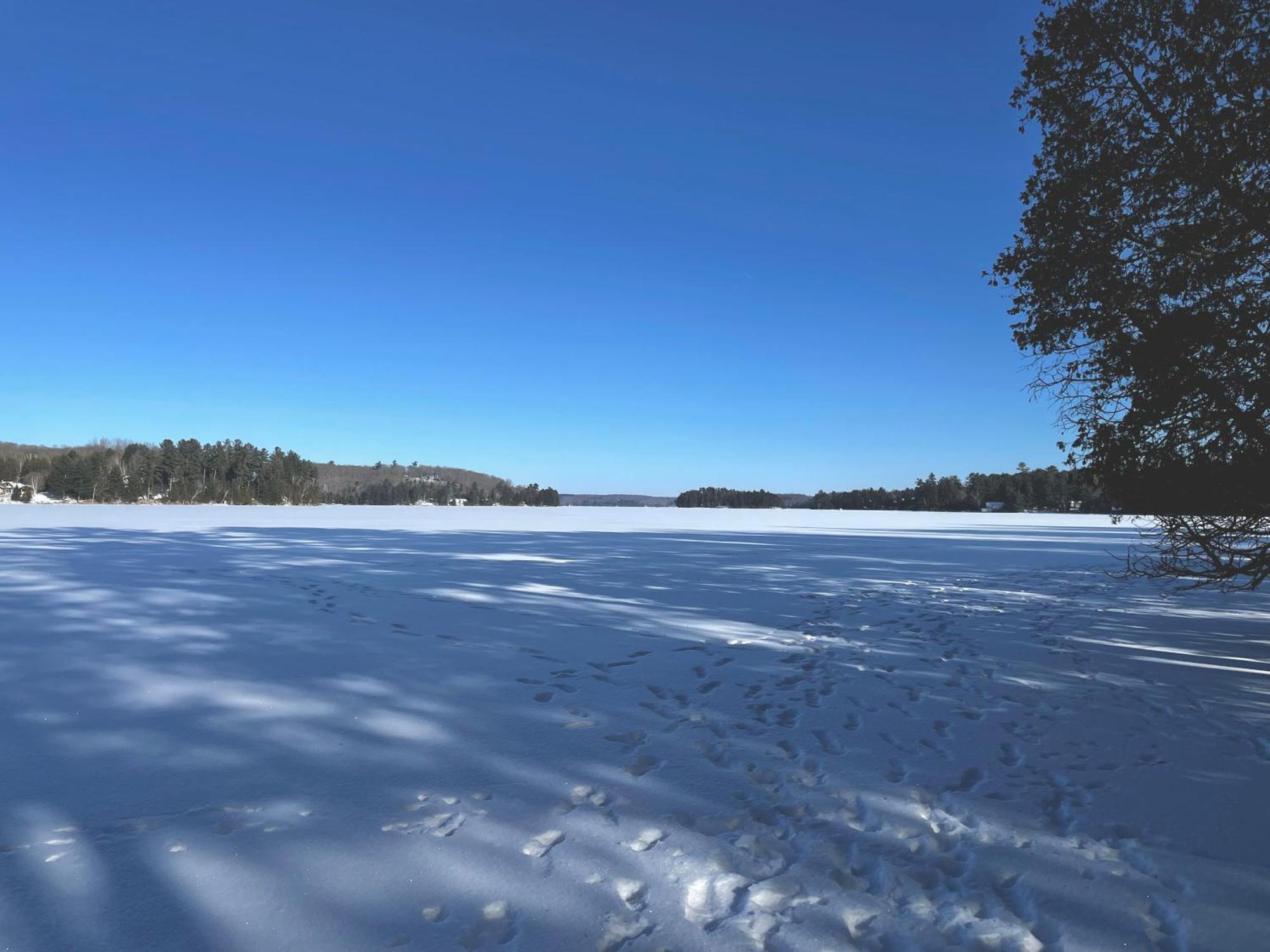 Готель Haliburton Post House Minden Екстер'єр фото